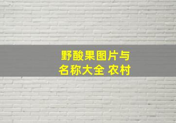 野酸果图片与名称大全 农村